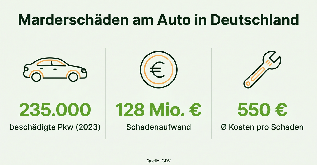 Infografik: 235.000 Marderschäden, 128 Millionen Euro Schadenaufwand und durchschnittlich 550 Euro pro Schaden im Jahr 2023
