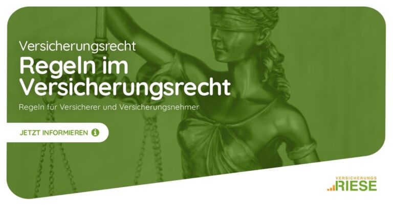 Versicherungsrecht: Regeln  für Versicherer und Versicherungsnehmer