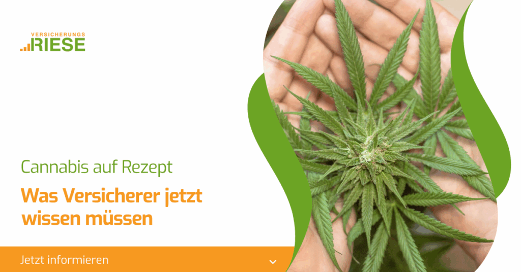 Cannabis Versicherer