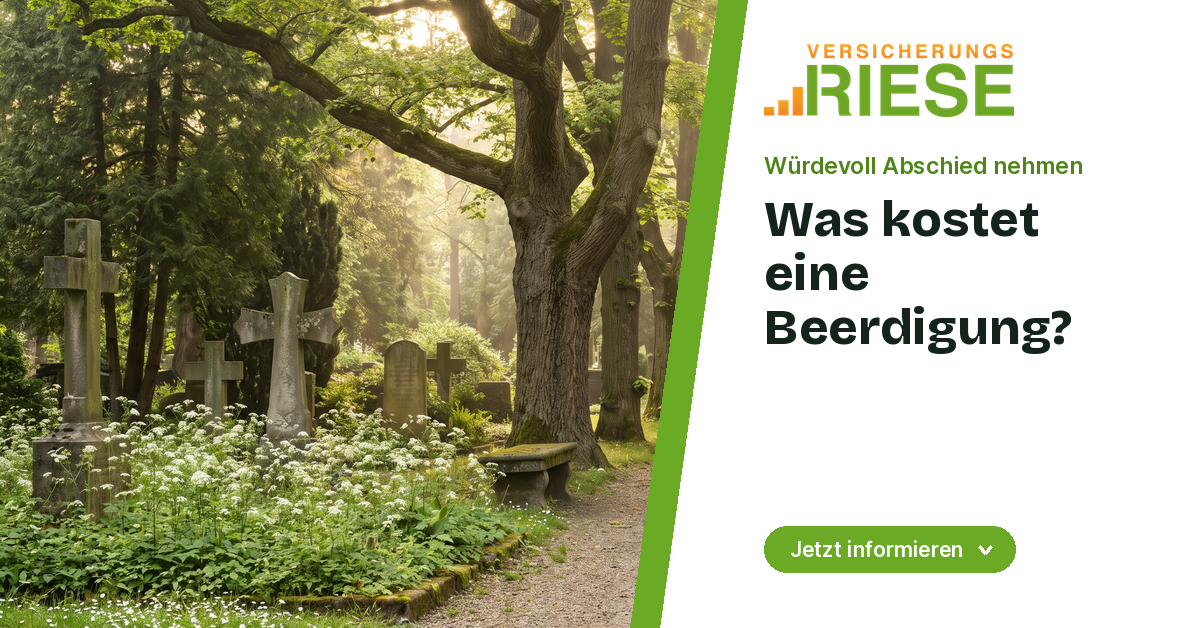Friedhofsweg mit Bäumen im weichen Morgenlicht