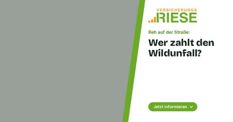 Wildunfall: Welche Versicherung zahlt und wie Sie sich richtig verhalten