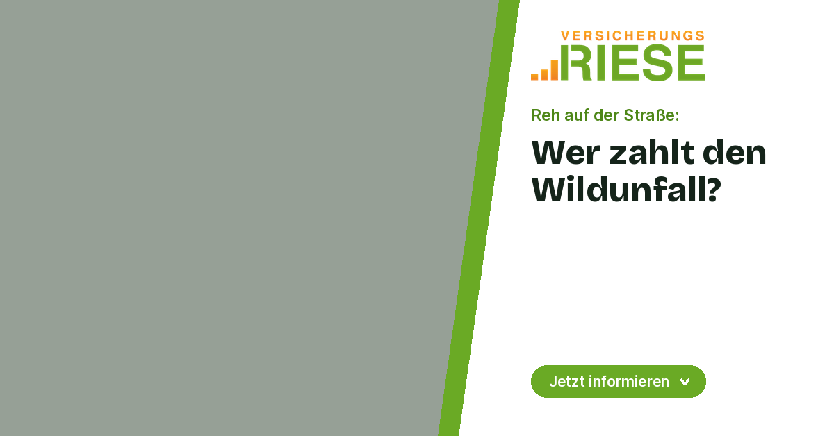 Wildunfall: Welche Versicherung zahlt und wie Sie sich richtig verhalten