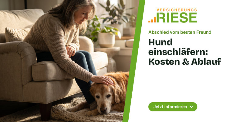 Hund einschläfern: Kosten, Ablauf und Abschied