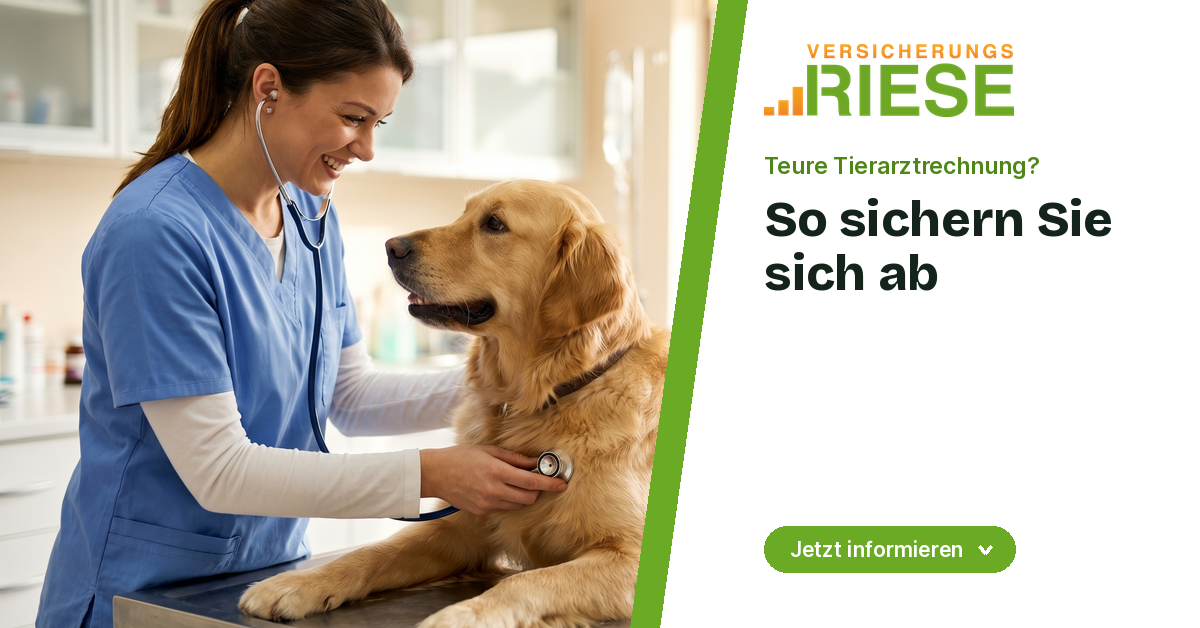 Tierarzt-Versicherung: So schützen Sie sich vor hohen Kosten